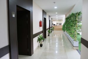 Corredor de um prédio com plantas ao lado e escritório ao fundo, ambiente bem iluminado e moderno. A imagem reflete o ESG na Gestão Hospitalar.