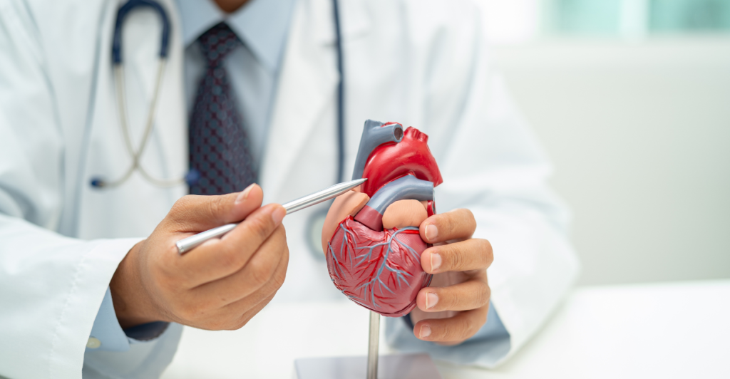 Real Hospital Português se torna referência em IA cardiovascular no Norte e Nordeste