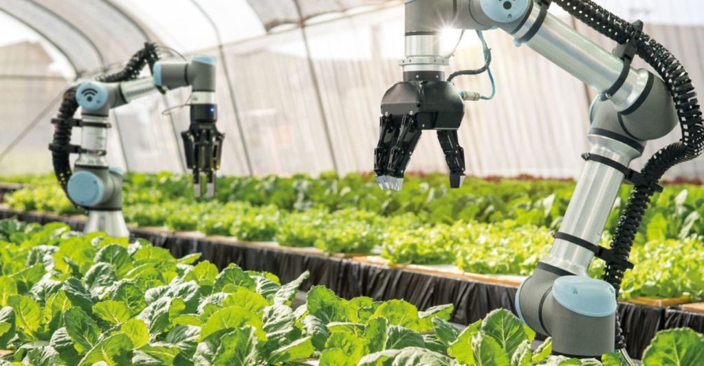 Produtividade: se maçãs acompanhassem a inflação em Saúde, uma única custaria US$ 6