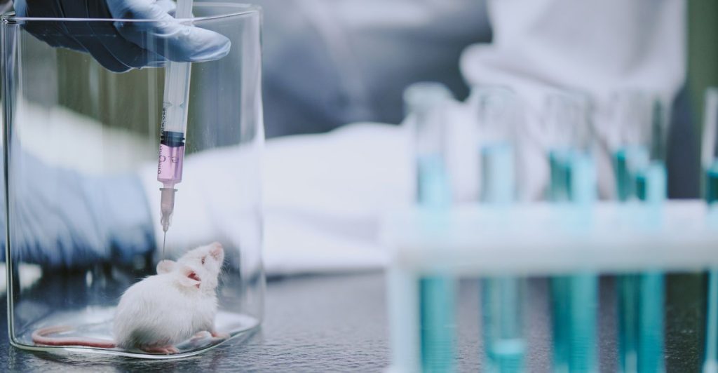 Nanotecnologia mostra-se eficaz na descoberta de novos tratamentos contra a tuberculose