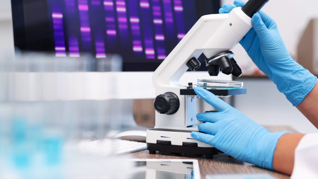 SUS estrutura medicina de precisão com o projeto Qualifica Laudo